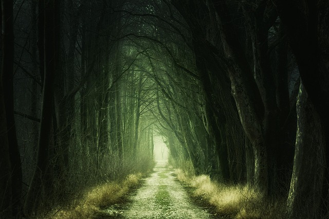 trails