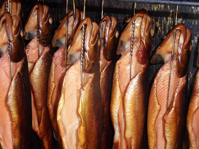 trout-640x480-7291035.jpeg