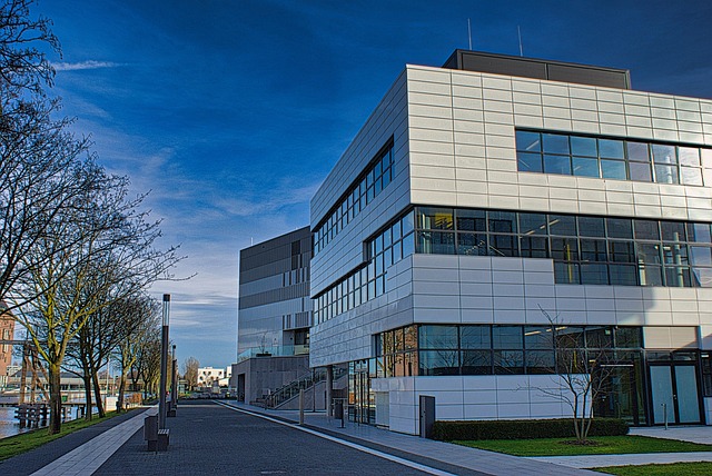 university