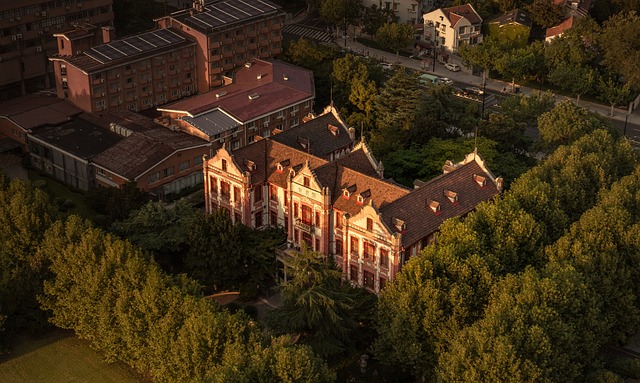 university