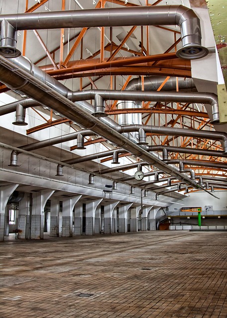 Best Ways to Avoid Mold: Control Moisture Today