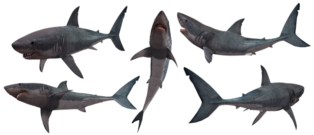white-teeth-640x480-65689371.png