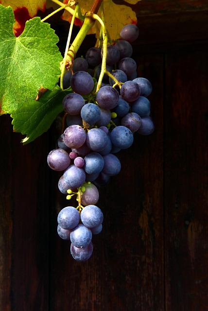 wine-640x480-85266451.jpeg