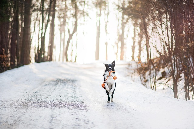 winter